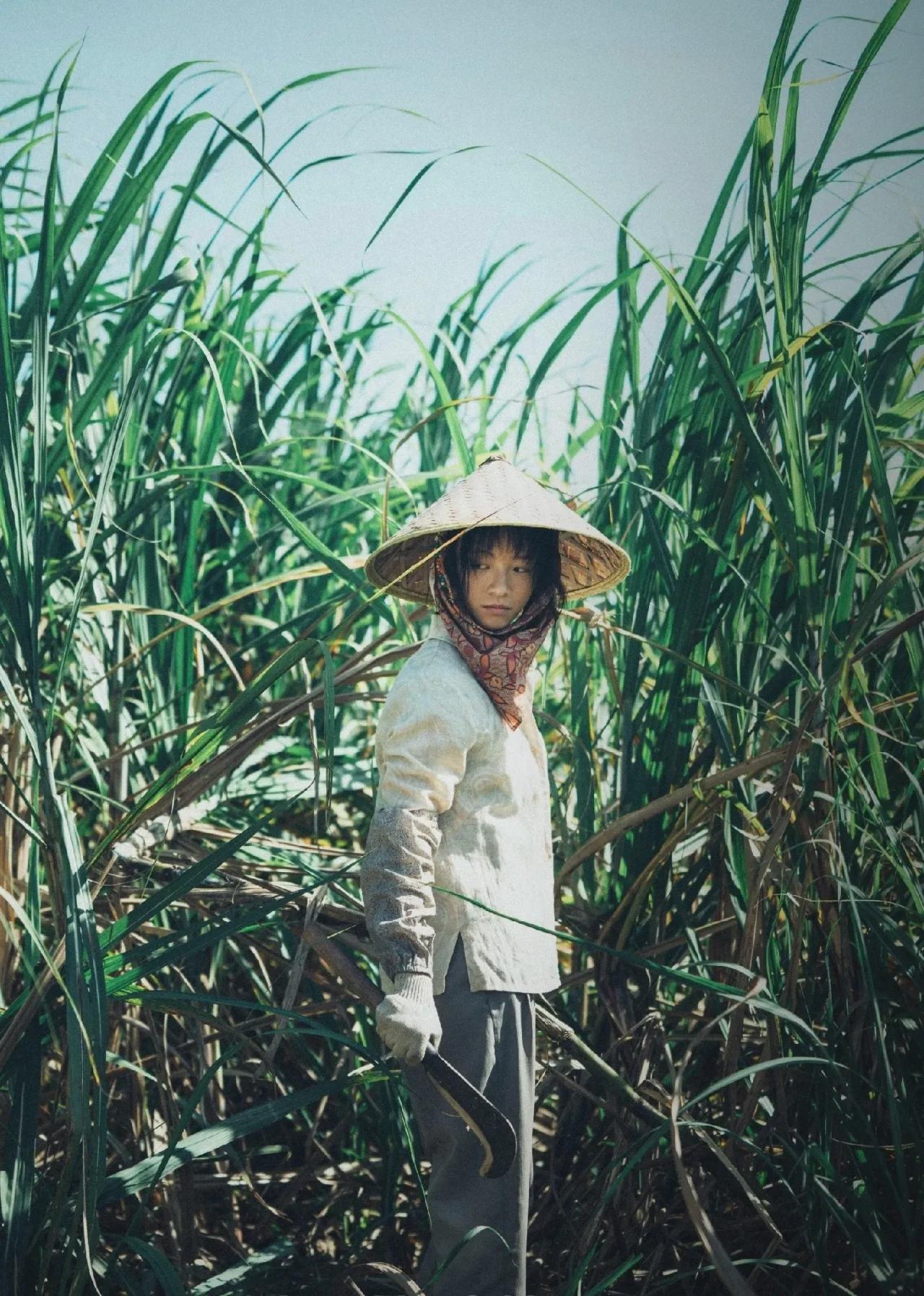 女演员长相多重要？《命悬一生》25岁李庚希和31岁姜珮瑶差别明显封面图