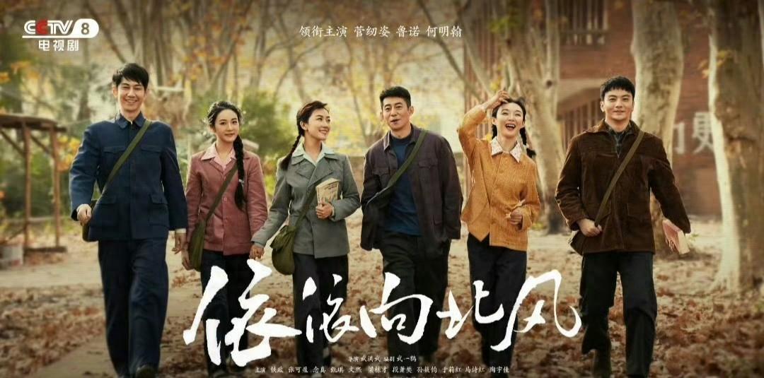 从老酒馆到依依向北风，张凯丽女儿演技依旧，星二代红利能撑多久封面图