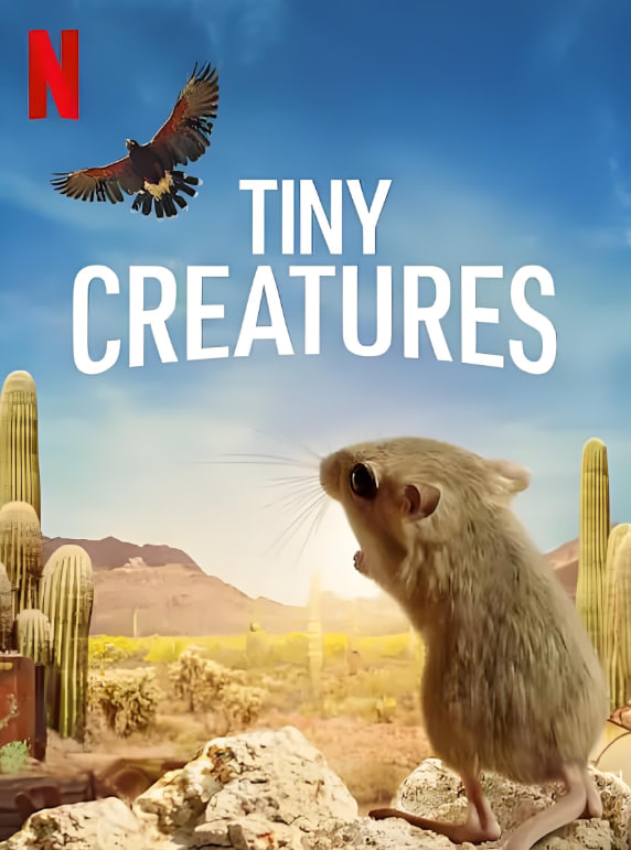 微观世界封面图