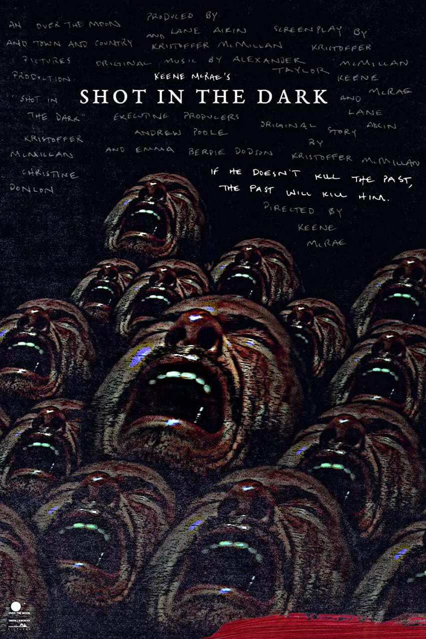 暗中一枪封面图