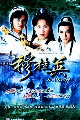 穆桂英之大破天门阵粤语封面图