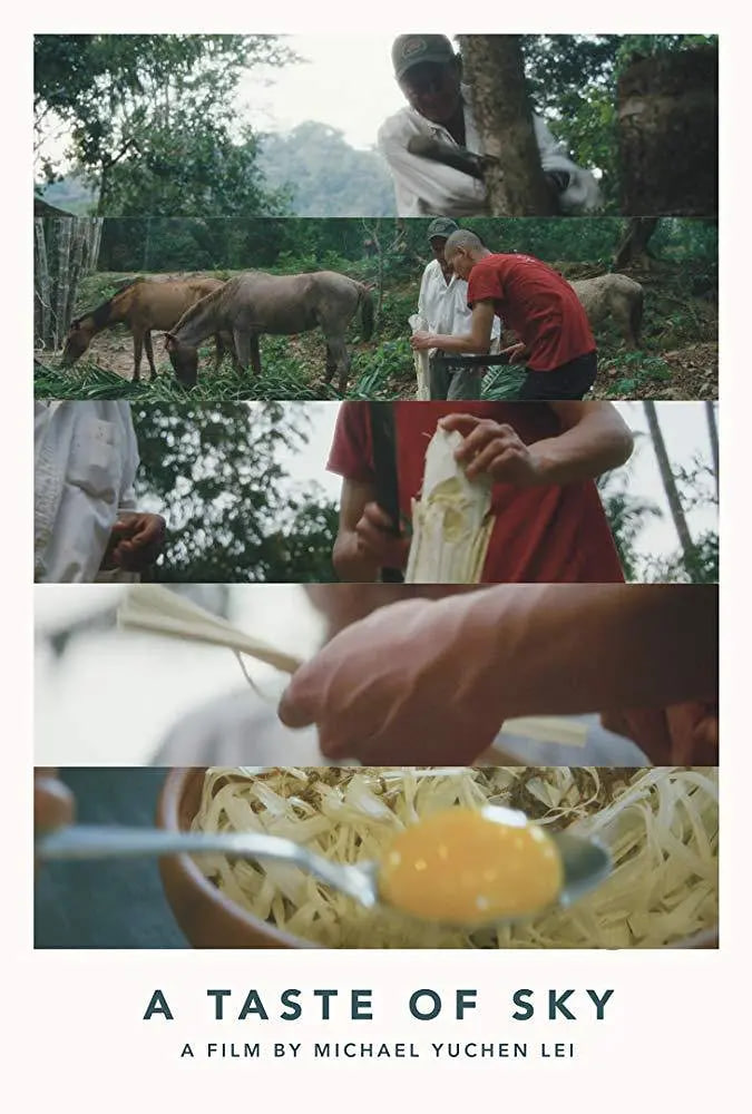 天空的味道封面图