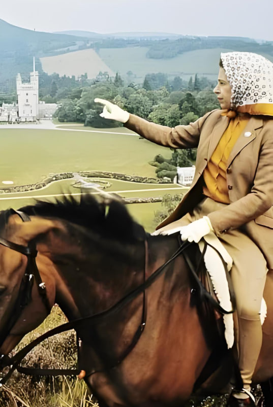 女王与国家 2022封面图