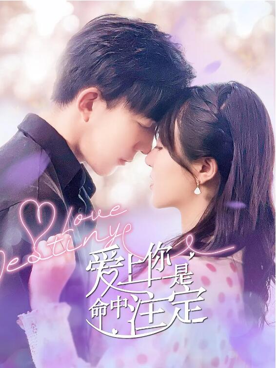 爱上你是命中注定封面图