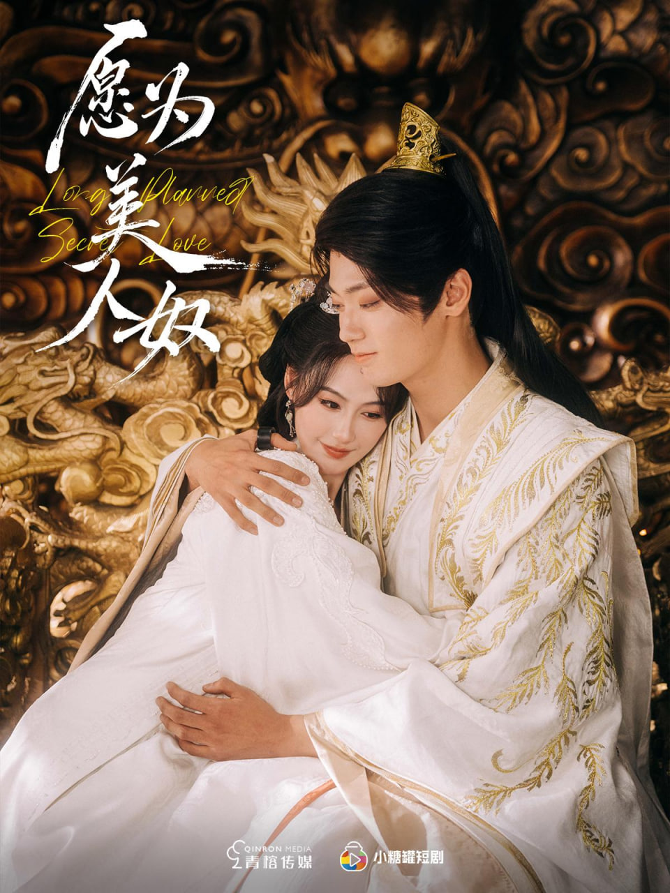 愿为美人奴封面图