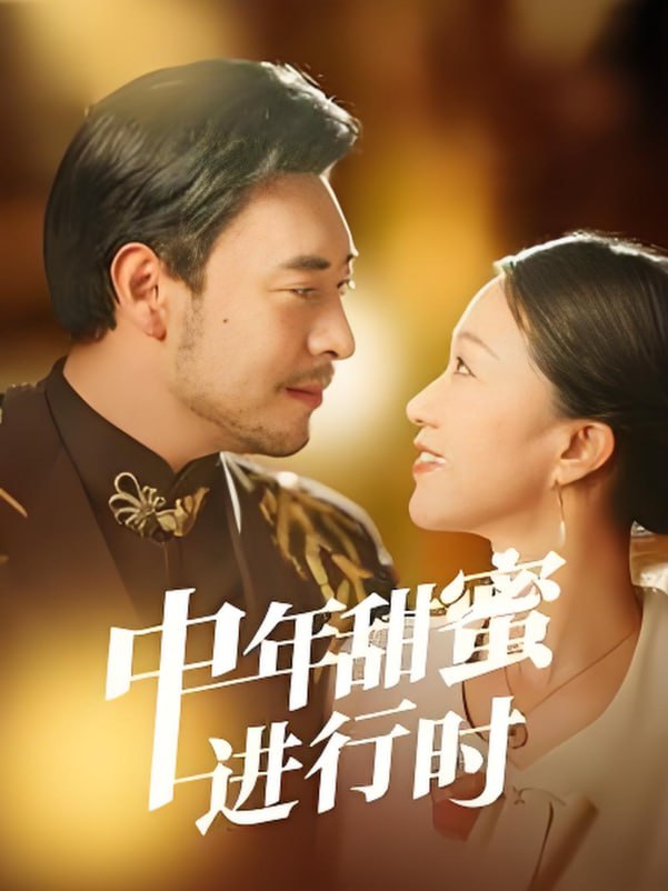 中年甜蜜进行时封面图