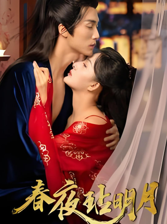 春夜玷明月封面图