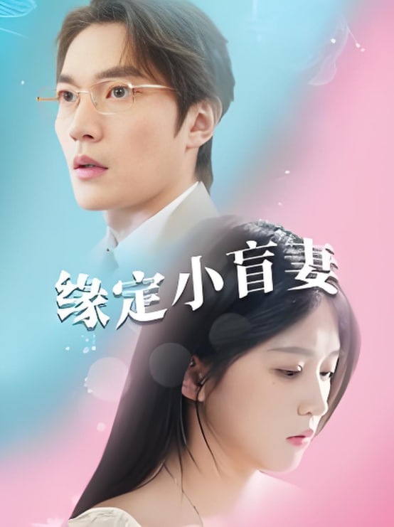 缘定小盲妻封面图