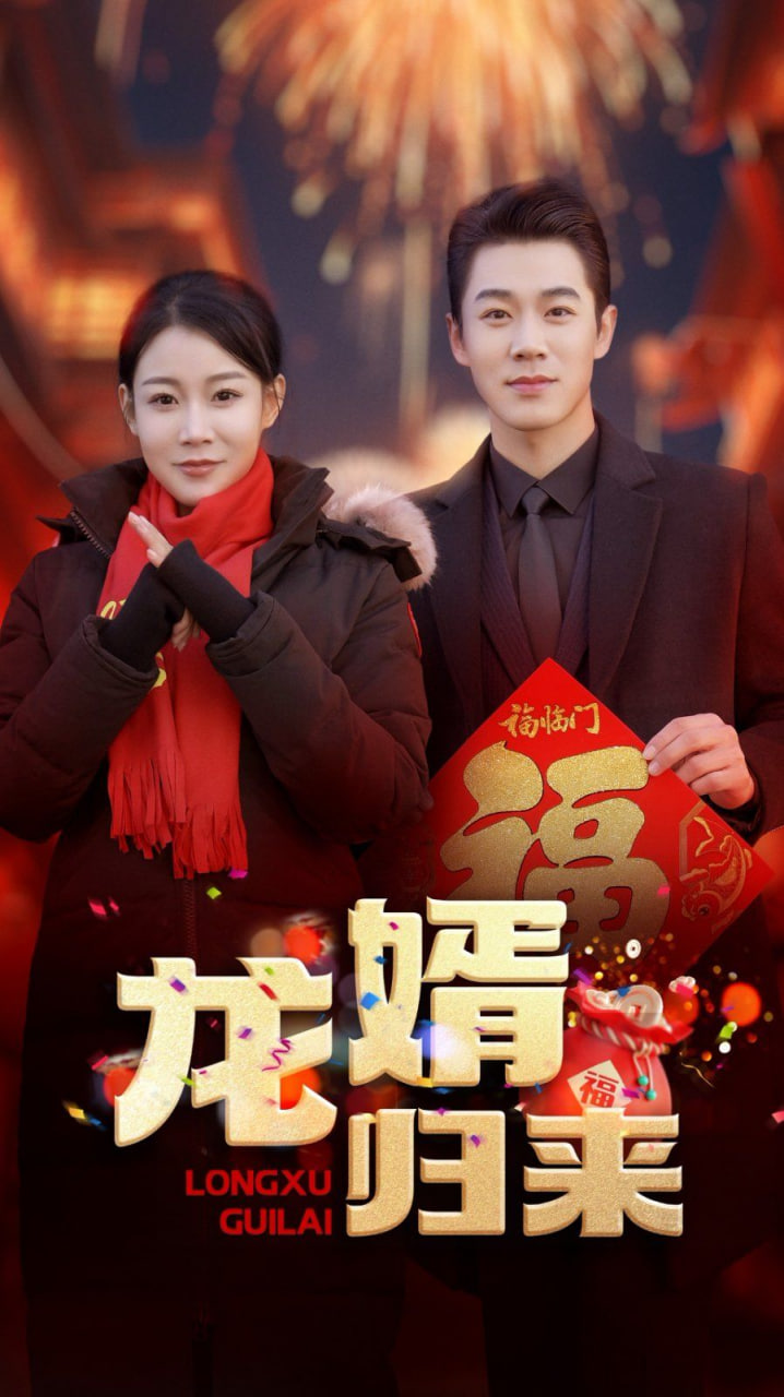 龙婿归来封面图