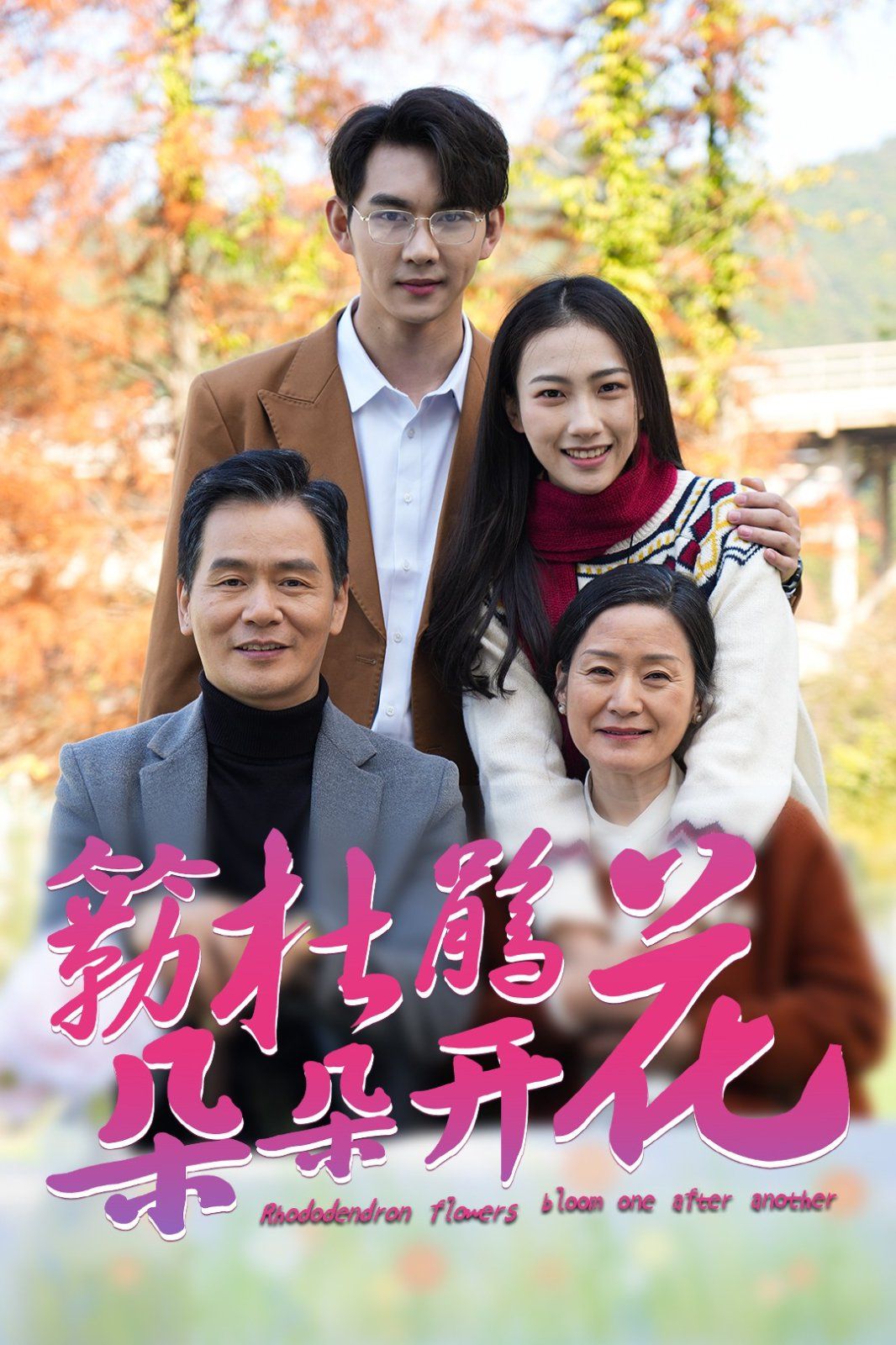 簕杜鹃花朵朵开封面图