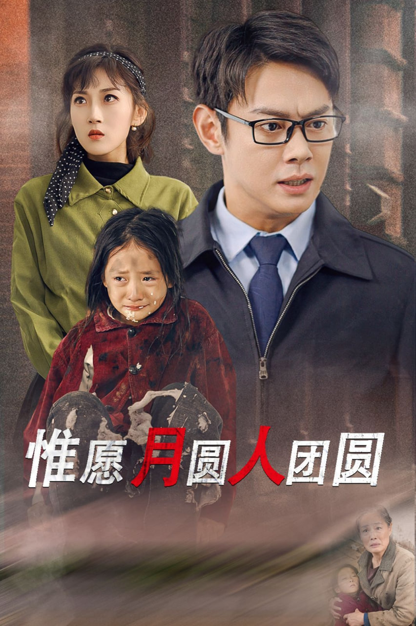 惟愿月圆人团圆封面图