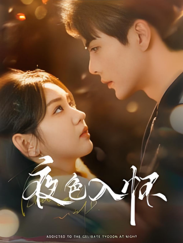 夜色入怀封面图