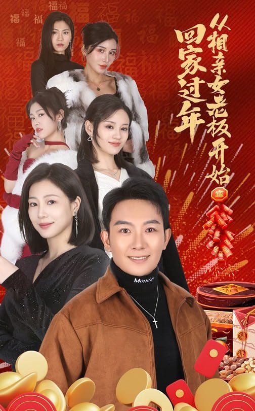 回家过年从相亲女老板开始封面图