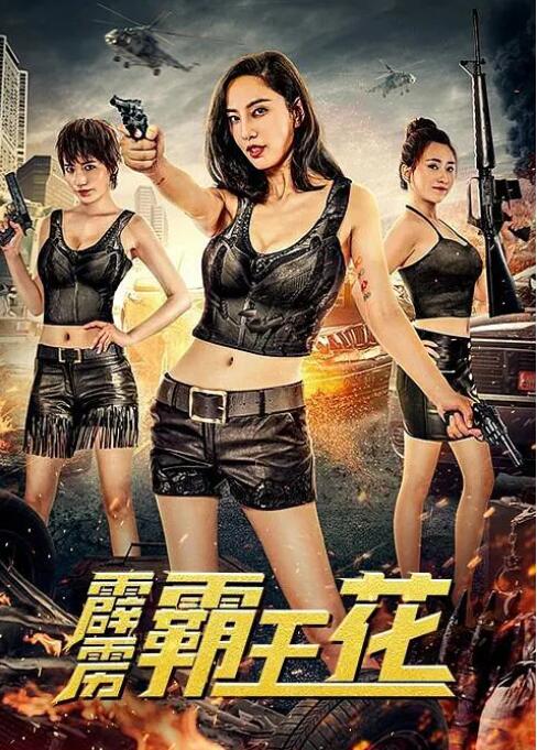 霹雳霸王花封面图