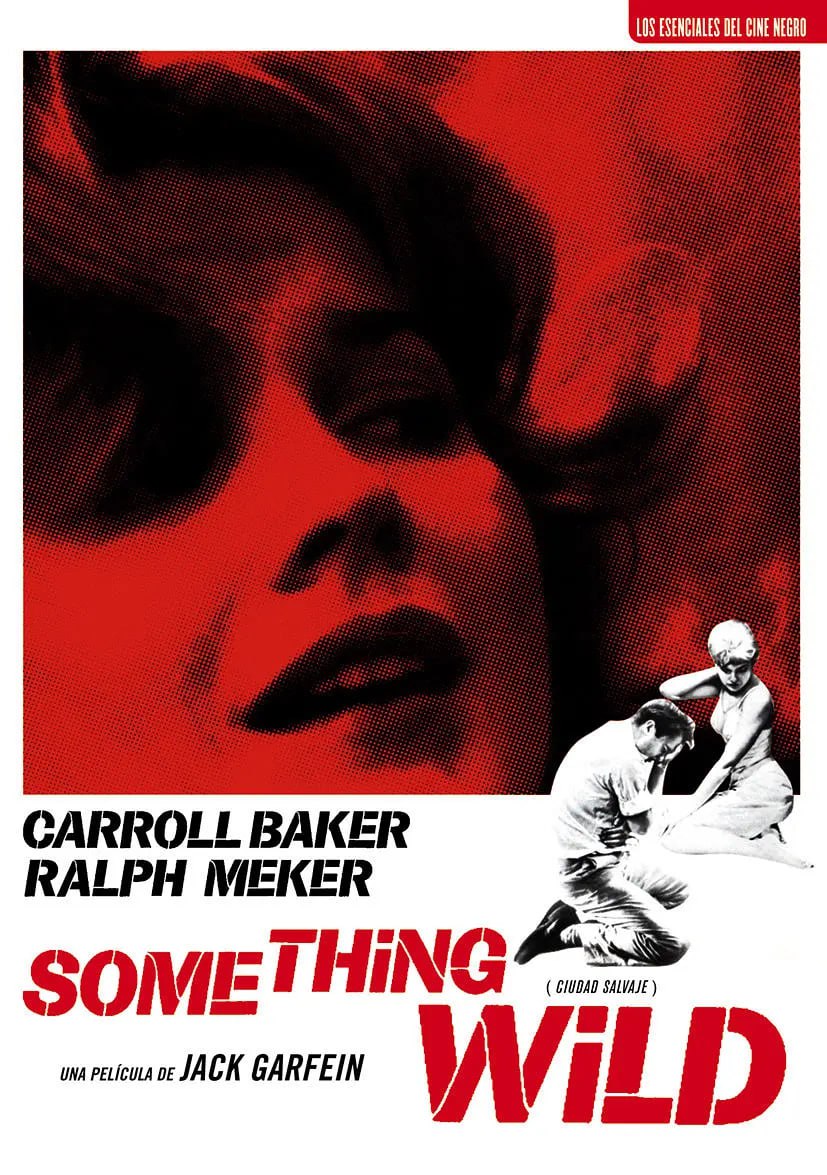 断肠孤凤封面图