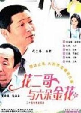 花二哥与六朵金花封面图