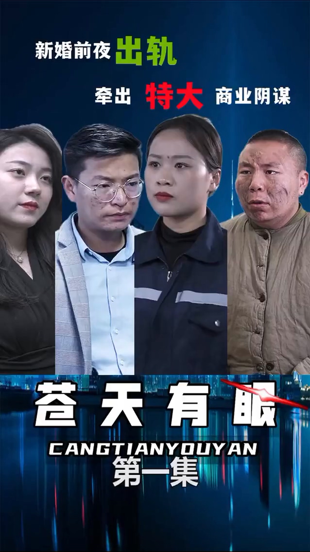 苍天有眼封面图