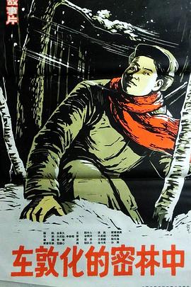 在敦化的密林中封面图