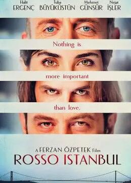 恋恋红城封面图