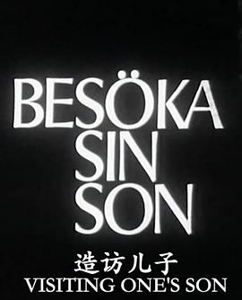 造访儿子封面图