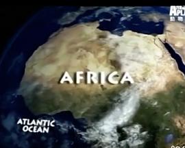 吞噬非洲的蝗虫封面图