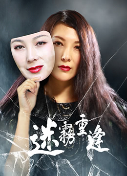 迷雾重逢封面图