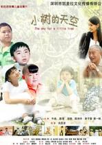 小树的天空封面图