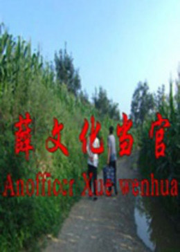 薛文化当官记封面图