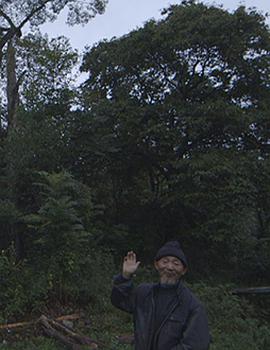 世界语法封面图