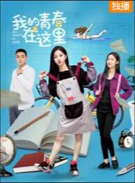我的青春在这里封面图