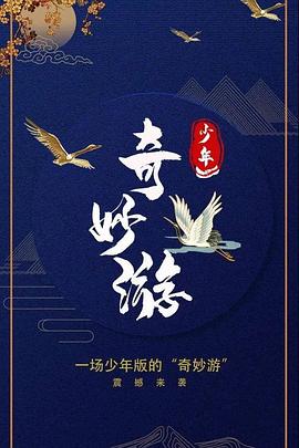少年奇妙游封面图
