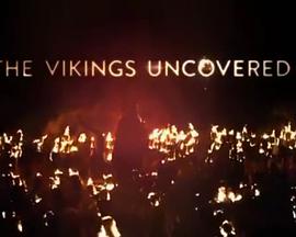 维京解密封面图