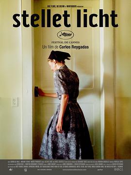 寂静之光封面图