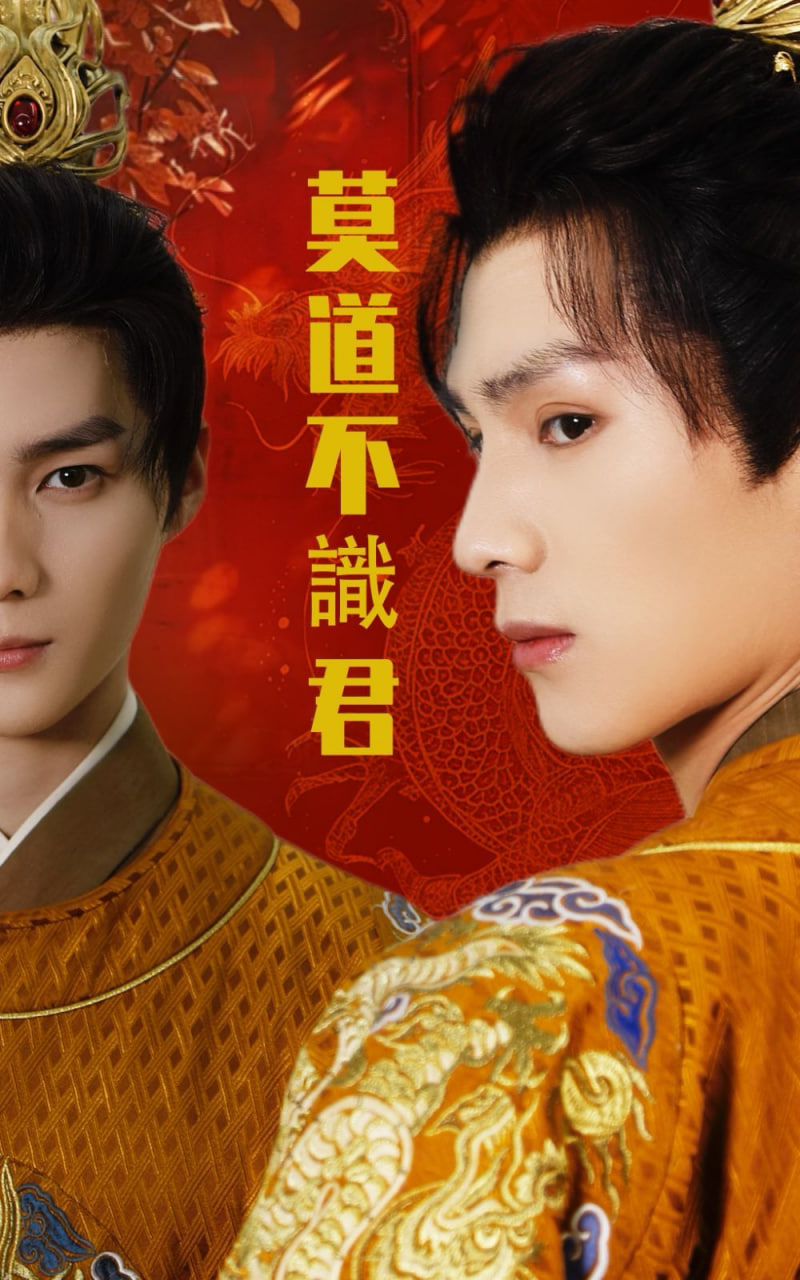 莫道不识君封面图