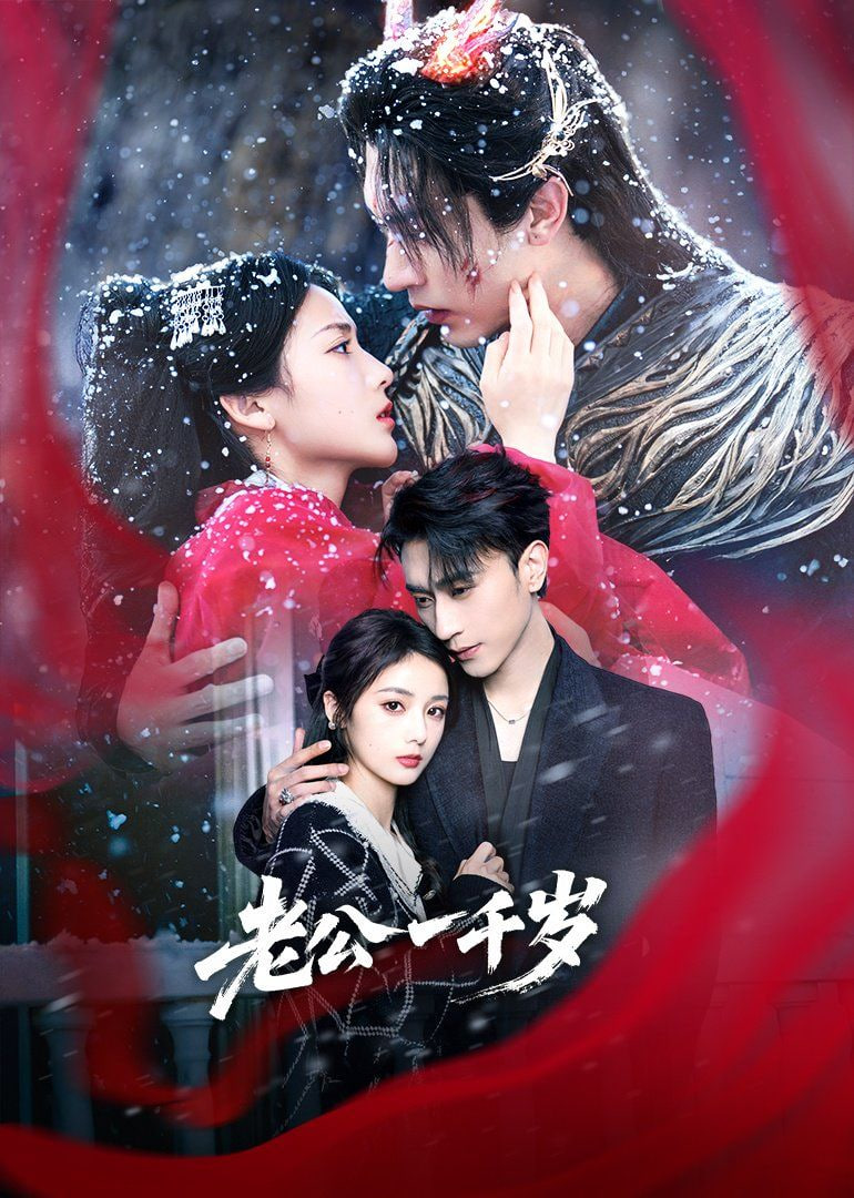 老公一千岁封面图