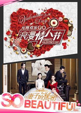 妻子的秘密2014[电影解说]封面图