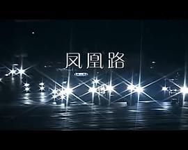 凤凰路[电影解说]封面图