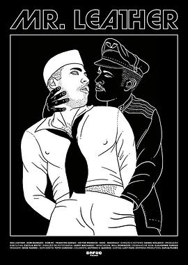 皮革先生[电影解说]封面图