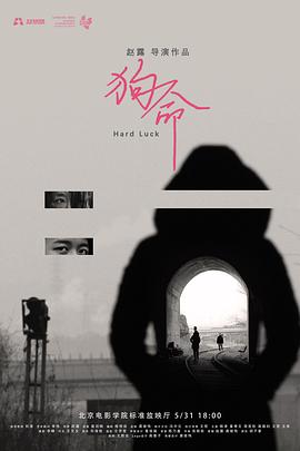 狗命[电影解说]封面图