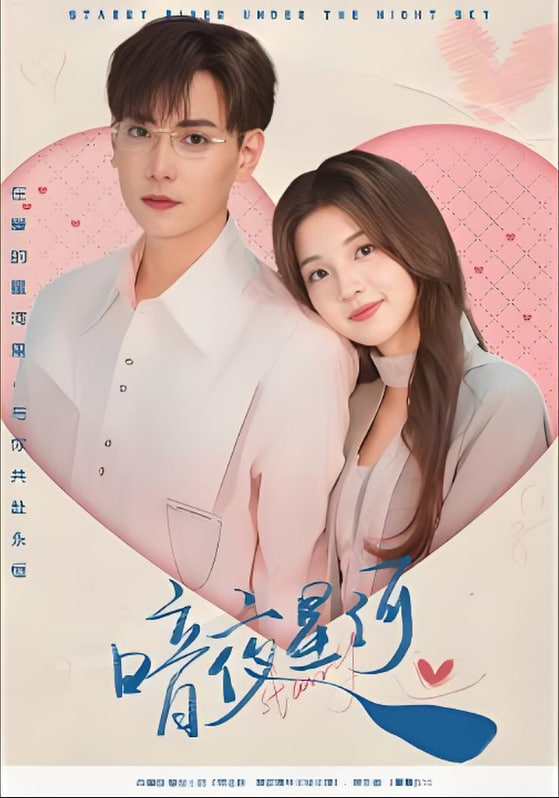 暗夜星河封面图