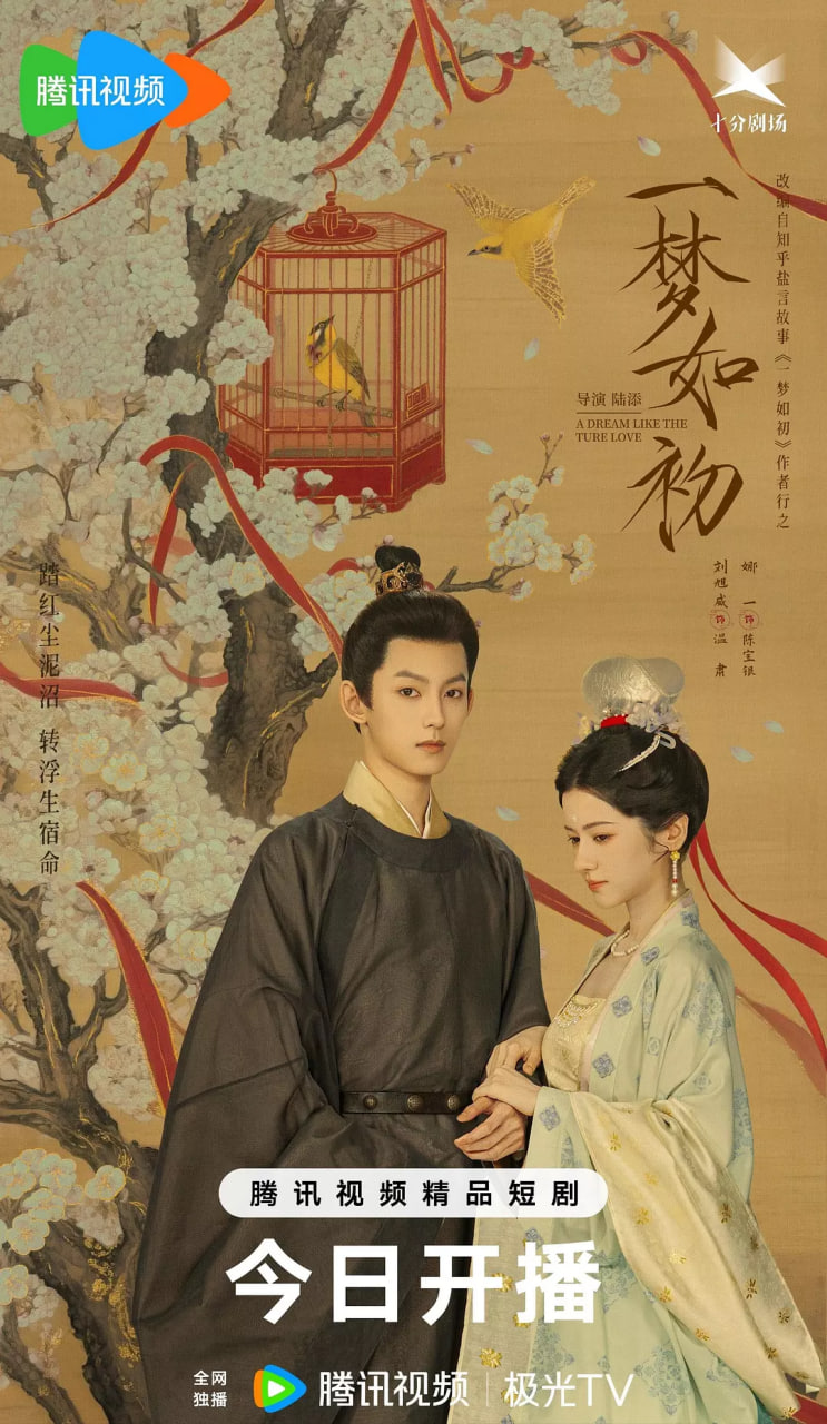 一梦如初封面图