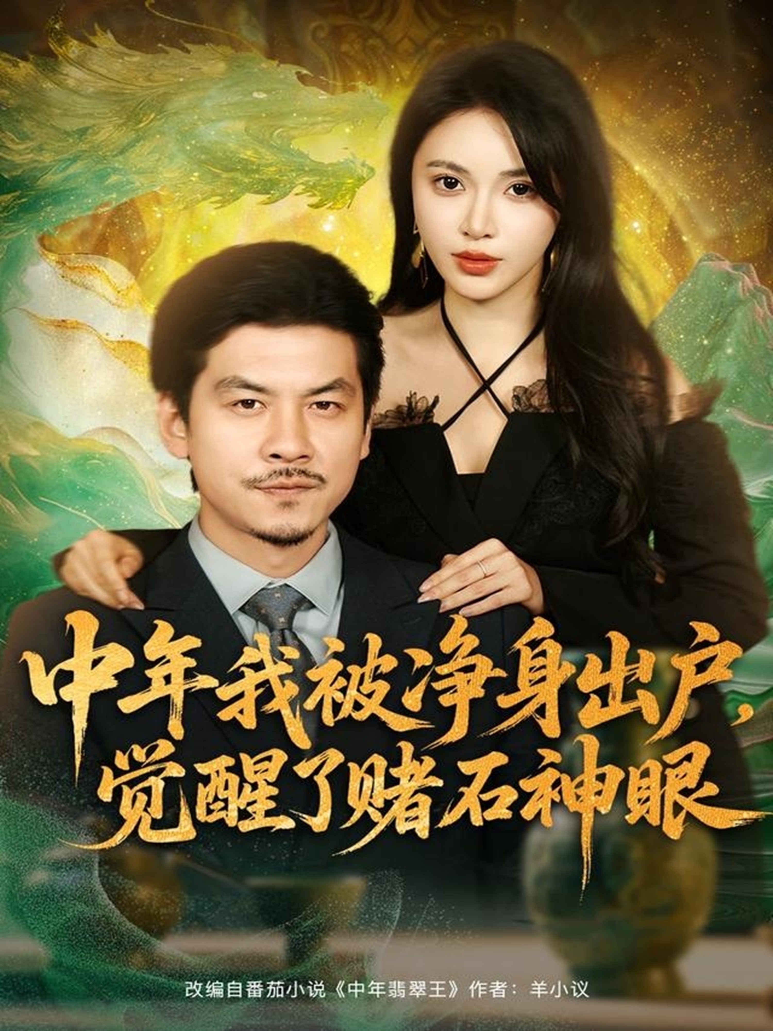 中年我被净身出户，觉醒了赌石神眼封面图