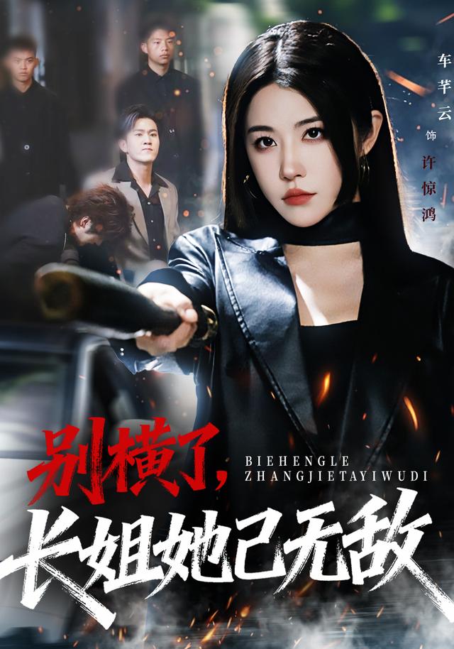 别横了长姐她已无敌封面图