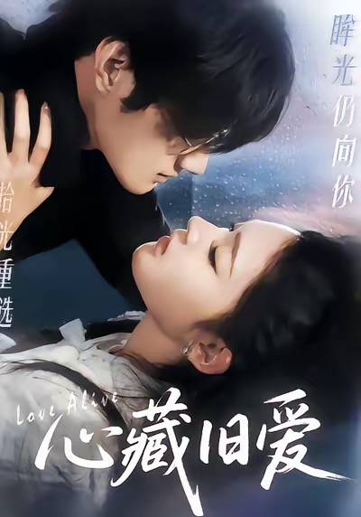 心藏旧爱封面图