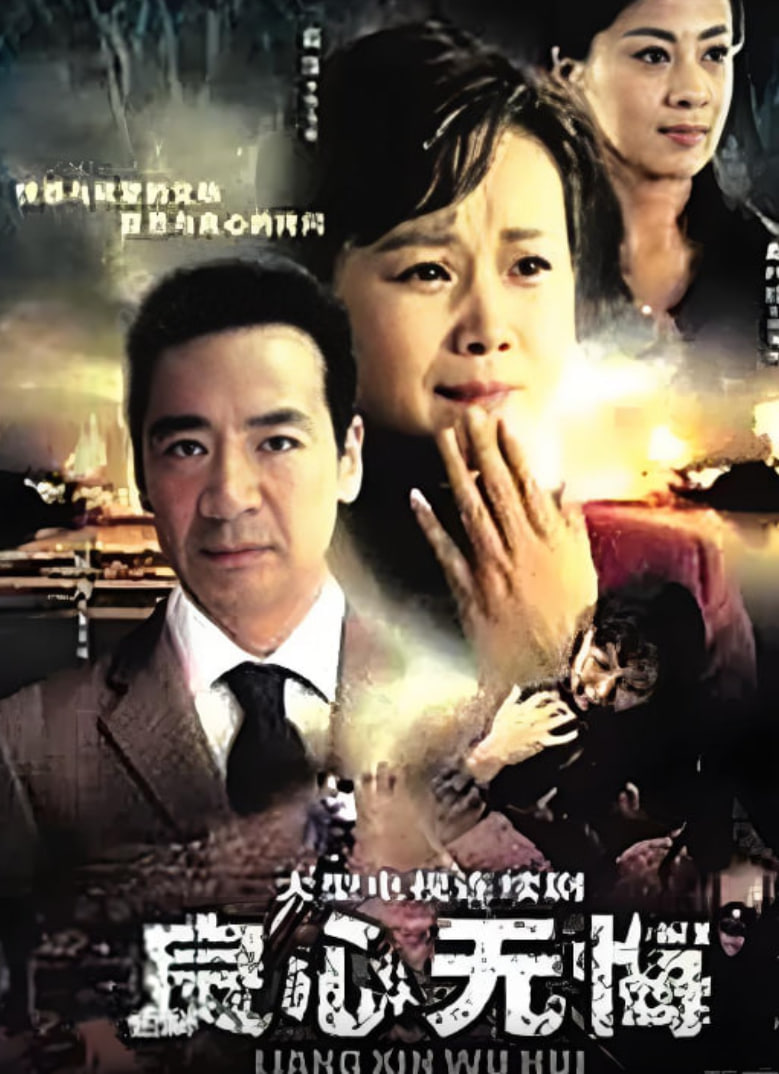 良心无悔封面图